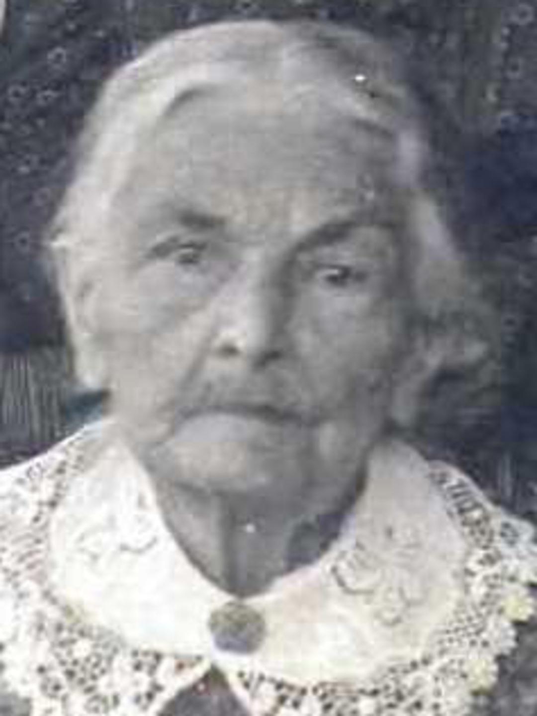 Catherine Ann Webb (1832 - 1910) Profile